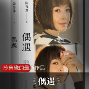 （偶遇）txt内部盘下载