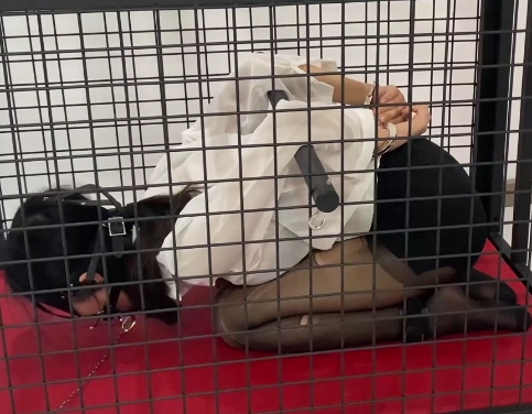 onlfyans系列-涵涵母犬指教特辑