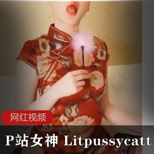 P站古典美女（Litpussycatt）红色旗袍黑丝写真，凸显美艳性感女性之美【669+MB】
