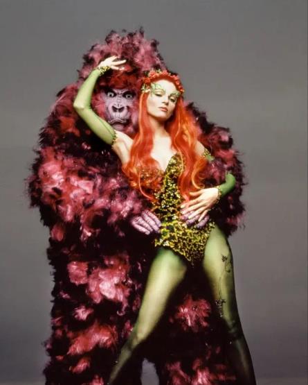 蝙蝠侠与罗宾高清典藏版推荐