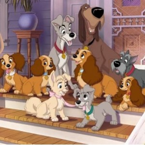 小姐与流浪汉2：狗儿逃家记