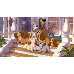 小姐与流浪汉2：狗儿逃家记