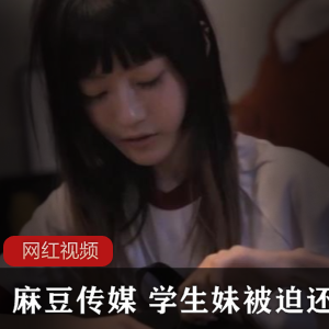 《某传媒：学生妹被迫还债作品》