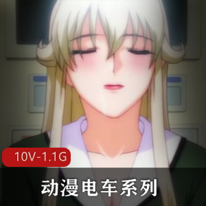 《动漫电车系列合集:女主爆弄诱惑,20分钟以上,10V-1.1G》