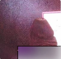 推特小姐姐,一只喔彩虹,DADIBABAO,日常推文,百度顽皮-推特小姐姐-一只喔彩虹-DADIBABAO-日常推文-百度顽皮