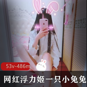 神秘美女宝藏浮力姬《一只小兔兔》视频合集8P-53v-486mb百度云