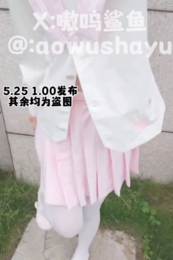 娜美：小狗与鲨鱼，视频丰富多彩，收藏161次