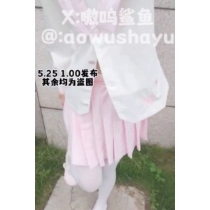 娜美：小狗与鲨鱼，视频丰富多彩，收藏161次