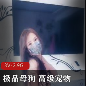 优质小狗:高级宠物SM,跪舔饮尿,狗链教育3V-2.9G