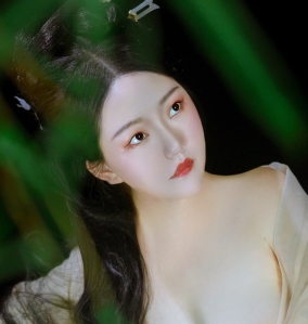 神秘视频合集：古风推特搬运，5v500p，900m，百度盘