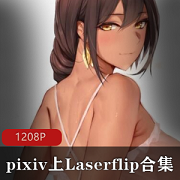pixivLaserflipMetalOwl火爆18r合集80G妖媚诱人