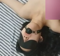 神秘档案刘薇驯化故事1V111M