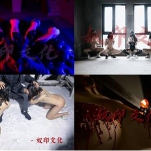 推奴印文化优质舞蹈合集88部50G超火辣