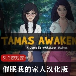 欧美风格SLG游戏手绘助猛娆家人汉化版