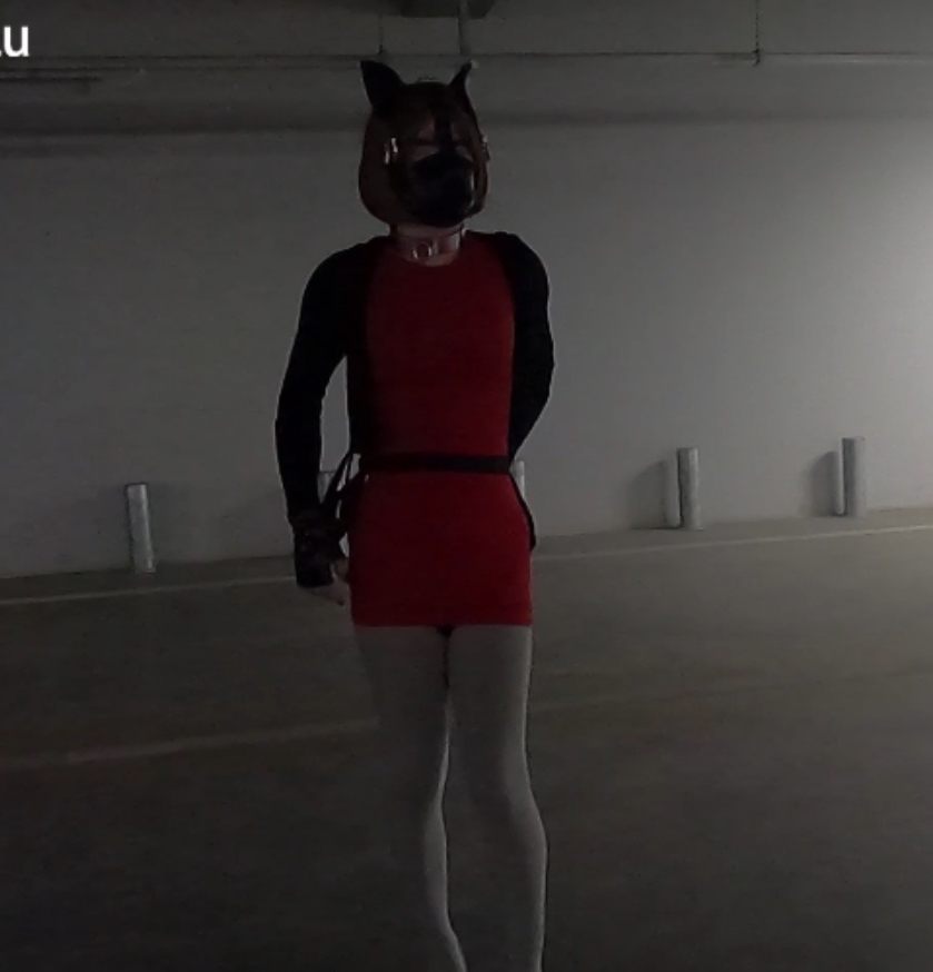 满月之夜长腿女神玥儿户外高能合集12V17.9G极致诱惑