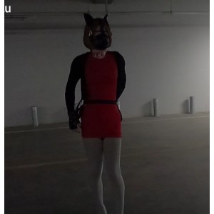 满月之夜长腿女神玥儿户外高能合集12V17.9G极致诱惑
